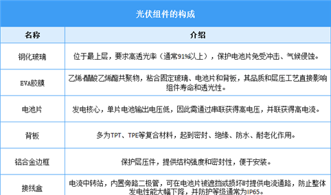2025年中国光伏组件行业市场前景预测研究报告（简版）