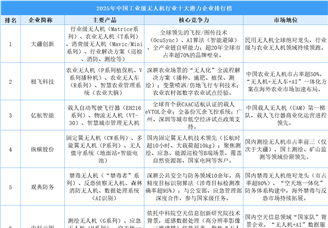 2025年中國工業(yè)級無人機(jī)行業(yè)十大潛力企業(yè)排行榜（附榜單）