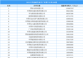 2025中國戰(zhàn)略性新興產(chǎn)業(yè)領(lǐng)軍企業(yè)100強(qiáng)（附榜單）