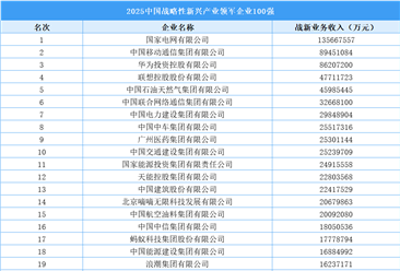 2025中國戰(zhàn)略性新興產(chǎn)業(yè)領軍企業(yè)100強（附榜單）