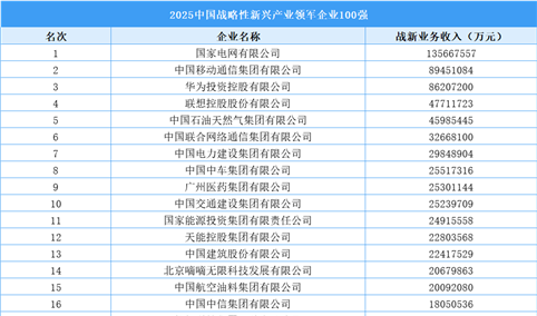 2025中国战略性新兴产业领军企业100强（附榜单）