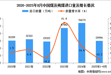 2025年1-8月中國煤及褐煤進口數(shù)據(jù)統(tǒng)計分析：進口量29994萬噸