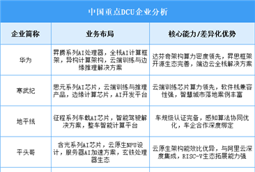 2025年中国DCU重点企业业务布局分析（图）