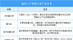 2025年中國氟化工行業(yè)市場前景預測研究報告（簡版）