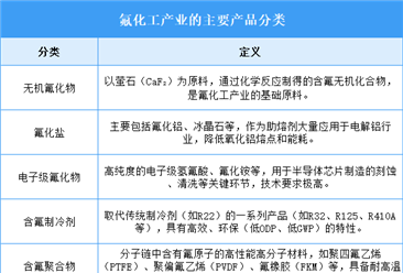 2025年中國氟化工行業(yè)市場前景預測研究報告（簡版）