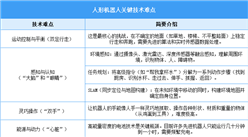 2025年中国人形机器人行业市场前景预测研究报告（简版）