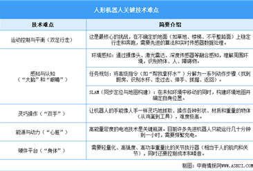 2025年中国人形机器人行业市场前景预测研究报告（简版）