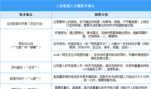 2025年中国人形机器人行业市场前景预测研究报告（简版）