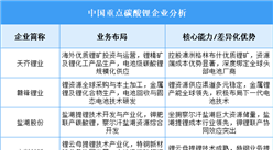 2025年中国碳酸锂重点企业业务布局分析（图）