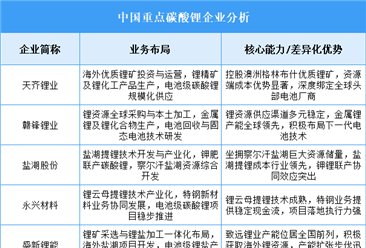 2025年中国碳酸锂重点企业业务布局分析（图）