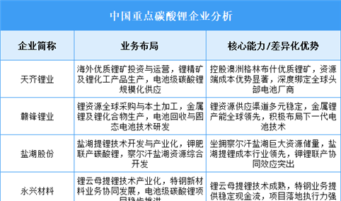 2025年中国碳酸锂重点企业业务布局分析（图）