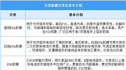 2025年中国光伏胶膜行业市场前景预测研究报告（简版）