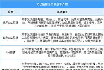 2025年中国光伏胶膜行业市场前景预测研究报告（简版）