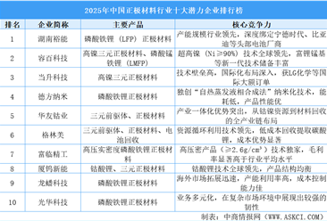 2025年中国正极材料行业十大潜力企业排行榜（附榜单）