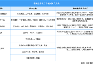 2025年中國數(shù)字醫(yī)療行業(yè)市場前景預(yù)測研究報告（簡版）