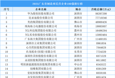 2025廣東省制造業(yè)民營企業(yè)100強排行榜（附榜單）