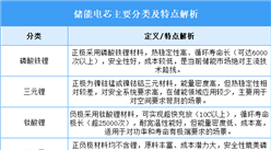 2025年中國(guó)儲(chǔ)能電芯行業(yè)市場(chǎng)前景預(yù)測(cè)研究報(bào)告（簡(jiǎn)版）