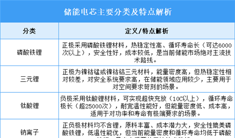 2025年中国储能电芯行业市场前景预测研究报告（简版）