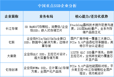 2025年中国SSD重点企业业务布局分析（图）