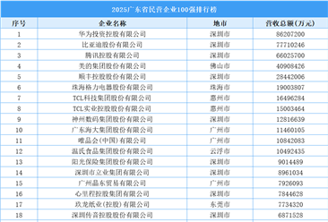 2025广东省民营企业100强排行榜（附完整榜单）