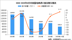 2025年1-8月中國蓄電池進(jìn)口數(shù)據(jù)統(tǒng)計(jì)分析：進(jìn)口量59519萬個