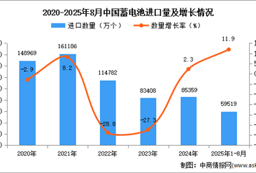 2025年1-8月中國(guó)蓄電池進(jìn)口數(shù)據(jù)統(tǒng)計(jì)分析：進(jìn)口量59519萬(wàn)個(gè)