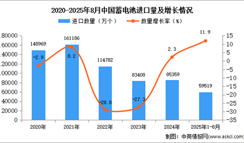 2025年1-8月中国蓄电池进口数据统计分析：进口量59519万个