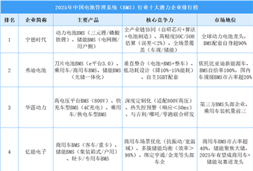 2025年中国电池管理系统（BMS）行业十大潜力企业排行榜（附榜单）