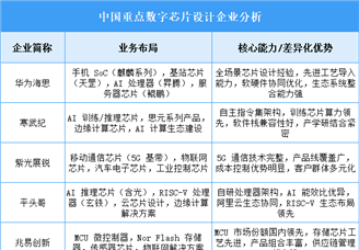 2025年中國數(shù)字芯片設(shè)計(jì)重點(diǎn)企業(yè)業(yè)務(wù)布局分析（圖）