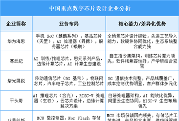 2025年中國數(shù)字芯片設(shè)計重點企業(yè)業(yè)務(wù)布局分析（圖）