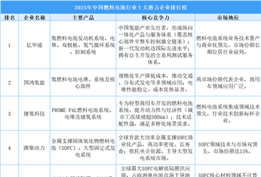 2025年中国燃料电池行业十大潜力企业排行榜（附榜单）