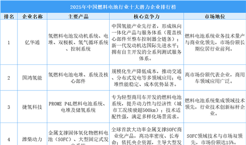 2025年中国燃料电池行业十大潜力企业排行榜（附榜单）
