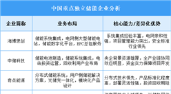 2025年中國(guó)SSD重點(diǎn)企業(yè)業(yè)務(wù)布局分析（圖）