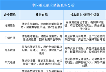 2025年中国SSD重点企业业务布局分析（图）