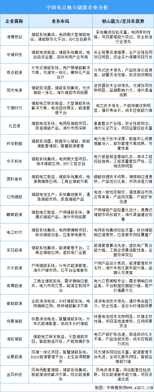 2025年中國(guó)SSD重點(diǎn)企業(yè)業(yè)務(wù)布局分析（圖）