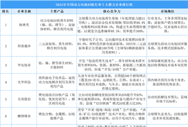 2025年中国动力电池回收行业十大潜力企业排行榜（附榜单）