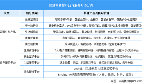 2025年中国智慧养老行业市场前景预测研究报告（简版）