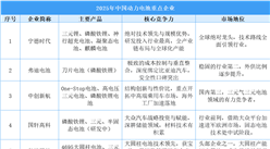 2025年中國動力電池重點(diǎn)企業(yè)分析（圖）
