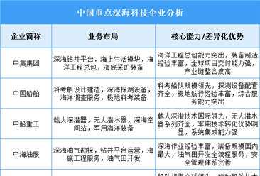 2025年中國深海科技重點(diǎn)企業(yè)業(yè)務(wù)布局分析（圖）