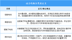 2025年中國(guó)動(dòng)力電池行業(yè)市場(chǎng)前景預(yù)測(cè)研究報(bào)告（簡(jiǎn)版）