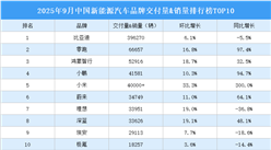 2025年9月中國(guó)新能源汽車(chē)品牌交付量&銷(xiāo)量排行榜TOP10（附榜單）