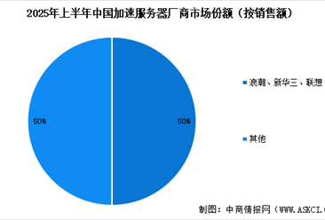 2025年中国加速服务器市场规模预测及行业竞争格局分析（图）