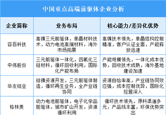 2025年中國高端前驅(qū)體重點(diǎn)企業(yè)業(yè)務(wù)布局分析（圖）