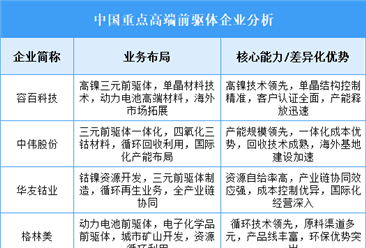2025年中国高端前驱体重点企业业务布局分析（图）