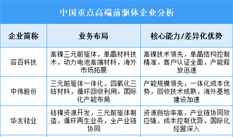 2025年中国高端前驱体重点企业业务布局分析（图）