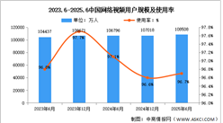 2025年上半年我國(guó)網(wǎng)絡(luò)視頻用戶規(guī)模達(dá)10.85億 占網(wǎng)民整體96.7%(圖)