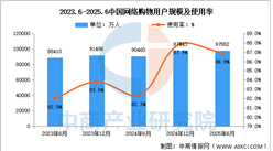 2025年上半年我國網(wǎng)絡(luò)購物用戶規(guī)模達(dá)9.76億人 占網(wǎng)民整體86.9%（圖）