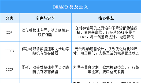 2025年中国DRAM行业市场前景预测研究报告（简版）