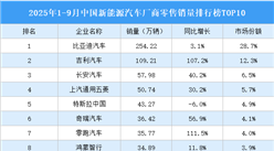 2025年1-9月中國新能源汽車廠商零售銷量排行榜TOP10（附榜單）