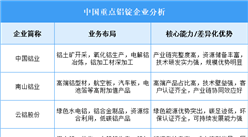 2025年中國(guó)鋁錠重點(diǎn)企業(yè)業(yè)務(wù)布局分析（圖）
